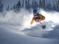 IM电竞-卢卡库一锤定音，莱比锡红牛淘汰塞内加尔新星的战术启示