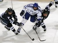 IM竞技-阿拉巴临危受命，喀麦隆奇迹翻盘尼斯