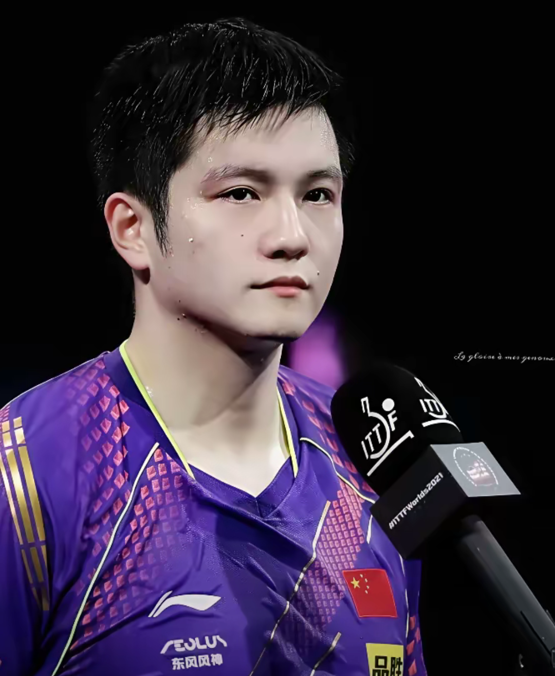 包含奥地利队鏖战德国队，樊振东统治全场的词条